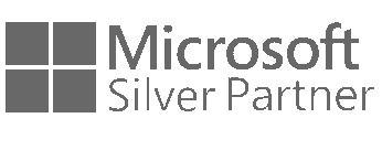 Microsoft sliver Partner