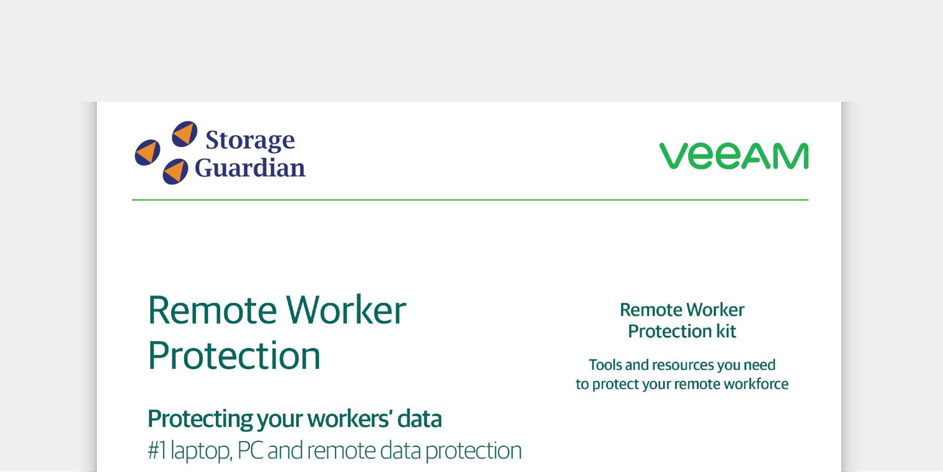 Storage Guardian and Veeam